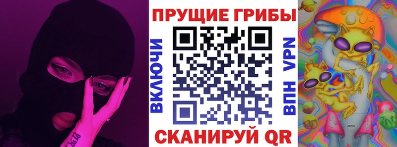 Псилоцибиновые грибы MAGIC MUSHROOMS  это как зайти  Мышкин 